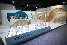 Рада начать участие в COP29 с поддержки инициативы Green Digital Action - заместитель гендиректора ЮНЕСКО (ФОТО)