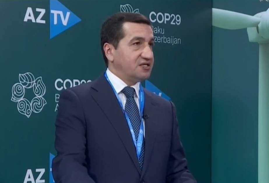 Тезисы, озвученные Президентом Ильхамом Алиевым на COP29, в частности, отражают взгляды развивающихся стран - Хикмет Гаджиев