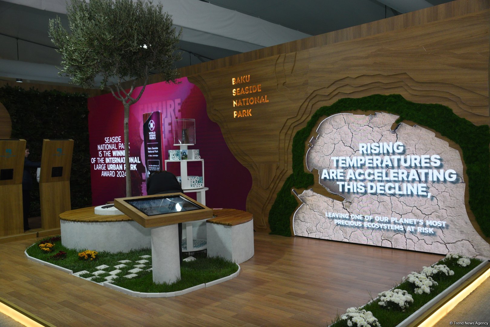 Фоторепортаж с шестого дня COP29