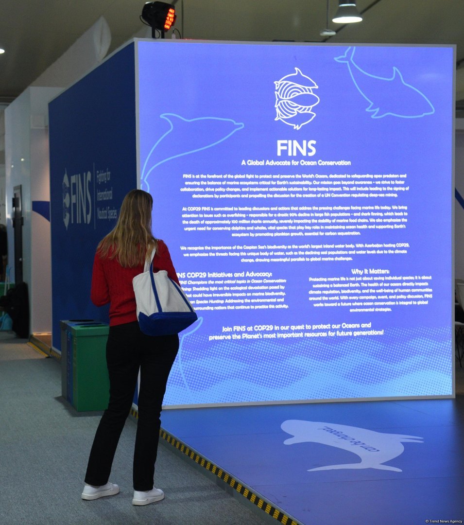 Фоторепортаж с шестого дня COP29