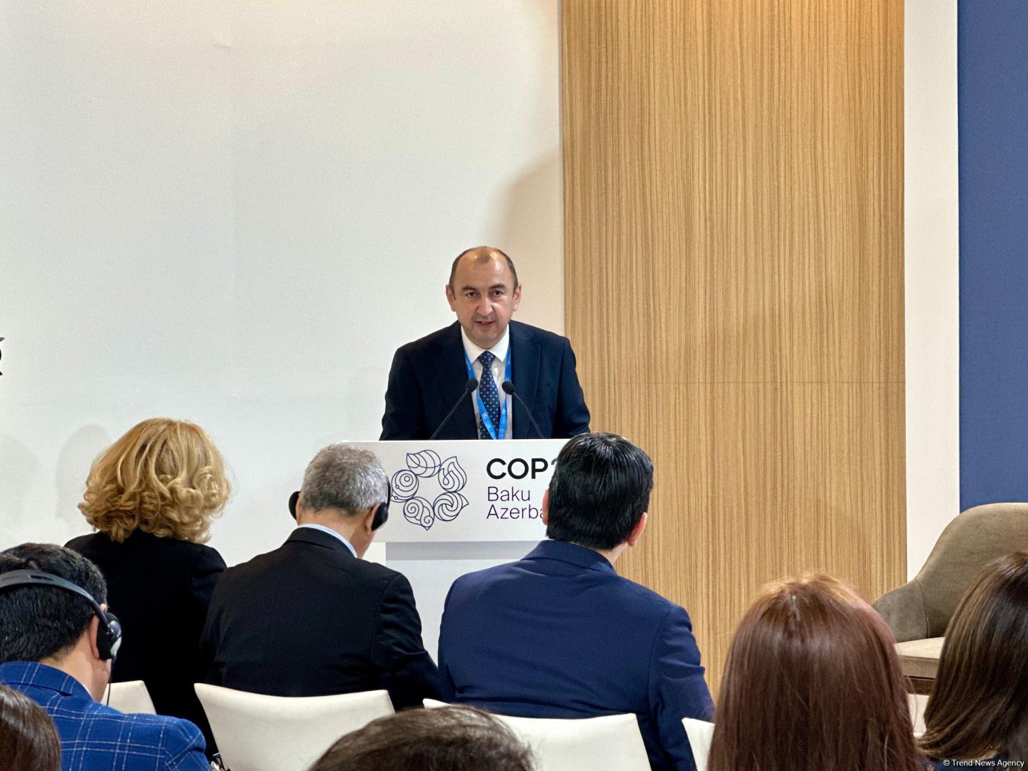 В рамках COP29 состоялась презентация «Обзора результативности экологической деятельности Азербайджана» (ФОТО)