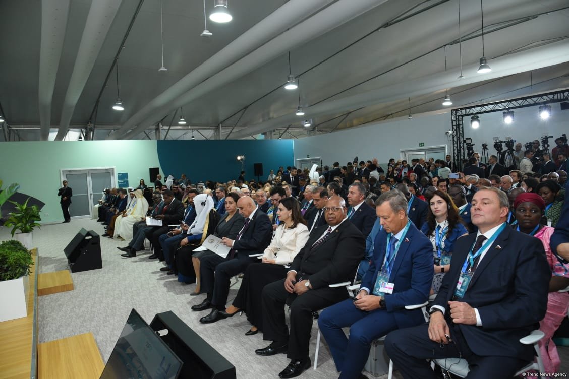 В Баку состоялось открытие Парламентской встречи в рамках COP29 (ФОТО)