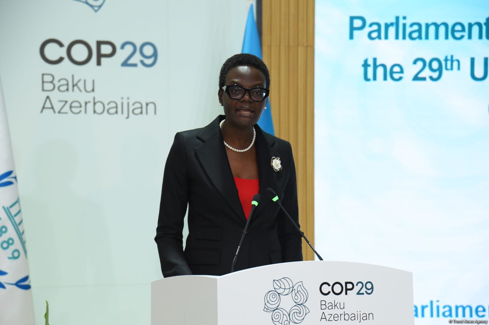 COP29 отражает стремление Азербайджана продвигать климатические решения - президент IPU