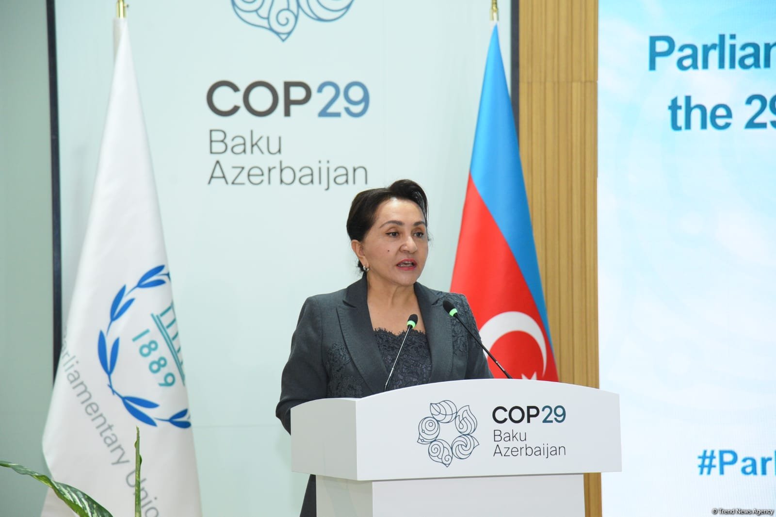 В Баку состоялось открытие Парламентской встречи в рамках COP29 (ФОТО)