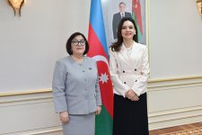 Обсуждены вопросы укрепления сотрудничества между парламентами Азербайджана и Албании (ФОТО)