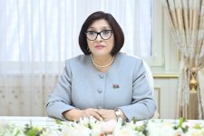 Обсуждены вопросы укрепления сотрудничества между парламентами Азербайджана и Албании (ФОТО)