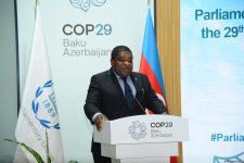 COP29 parliamentary meeting participants adopt final document (PHOTO)