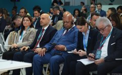 На полях Парламентской встречи в рамках COP29 обсудили меры по защите здоровья и продовольственной безопасности в условиях изменяющегося климата (ФОТО)
