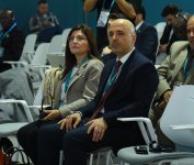 В Баку завершилась Парламентская встреча в рамках COP29 (ФОТО)