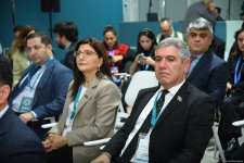 COP29 parliamentary meeting participants adopt final document (PHOTO)