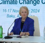 В Баку завершилась Парламентская встреча в рамках COP29 (ФОТО)