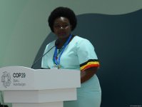 В Баку завершилась Парламентская встреча в рамках COP29 (ФОТО)
