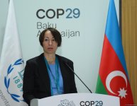 В Баку завершилась Парламентская встреча в рамках COP29 (ФОТО)