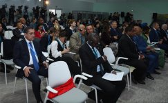 В Баку завершилась Парламентская встреча в рамках COP29 (ФОТО)