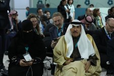 COP29 parliamentary meeting participants adopt final document (PHOTO)