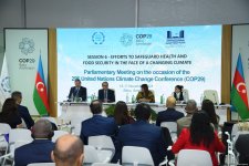 На полях Парламентской встречи в рамках COP29 обсудили меры по защите здоровья и продовольственной безопасности в условиях изменяющегося климата (ФОТО)