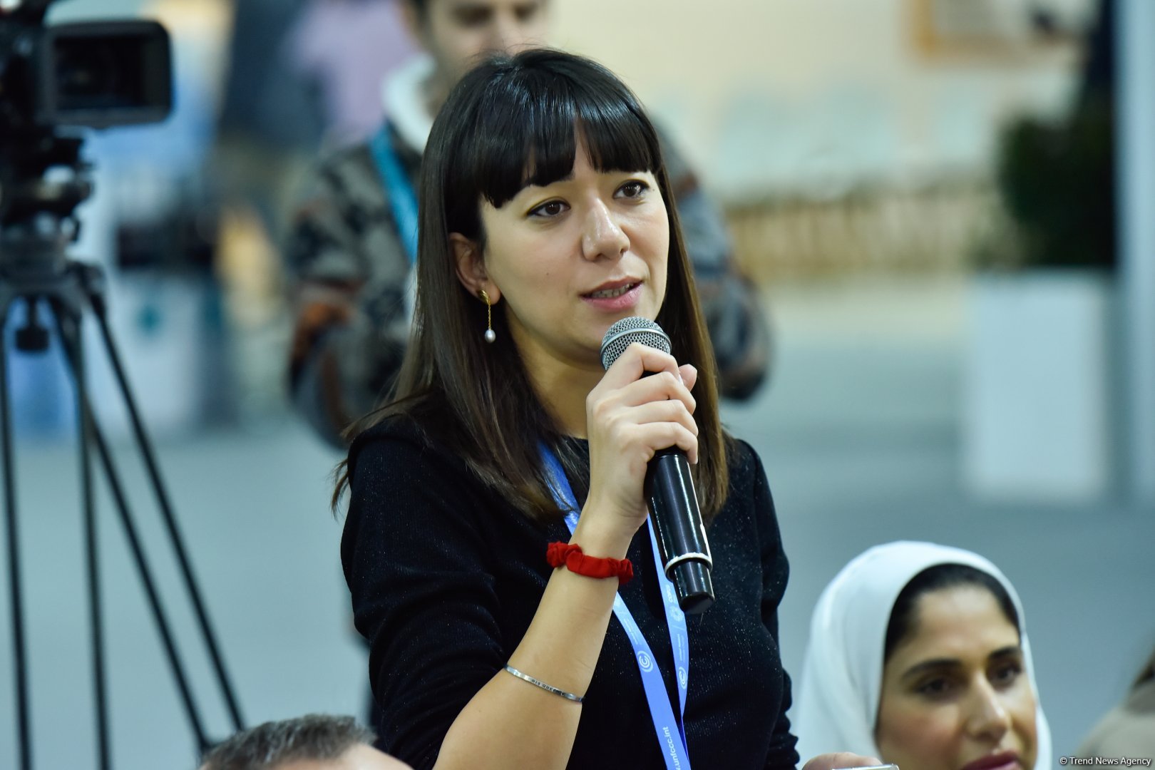 На COP29 состоялся форум под названием "Культурное и креативное сокращение выбросов углерода: Международный сценарий"