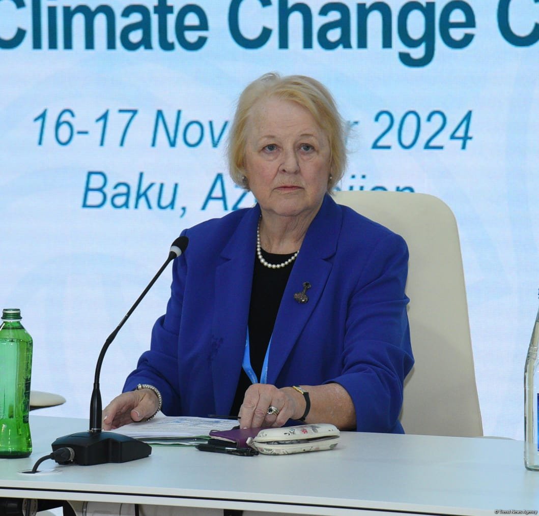 В Баку завершилась Парламентская встреча в рамках COP29 (ФОТО)