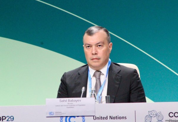 Azerbaijan does much to mitigate climate change - minister