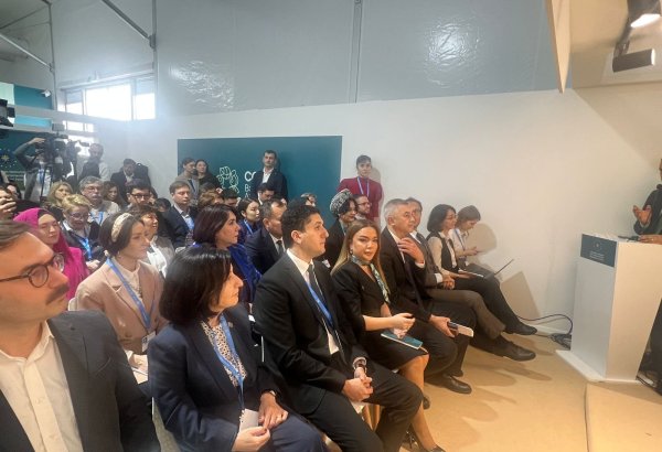 На COP29 состоялся форум совместных климатических инициатив НПО тюркских государств