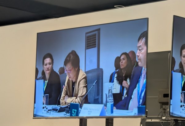 Singapore pledges its support for Baku Global Climate Transparency Platform