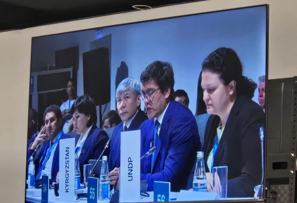 Kyrgyzstan to present its first biennial transparency report in coming months - official