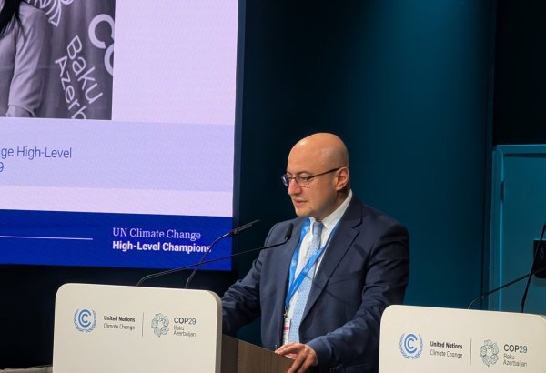COP29 approves Baku principles of human development for climate resilience