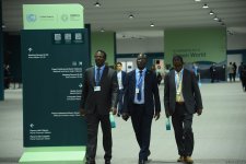 Фоторепортаж с восьмого дня COP29 в Баку