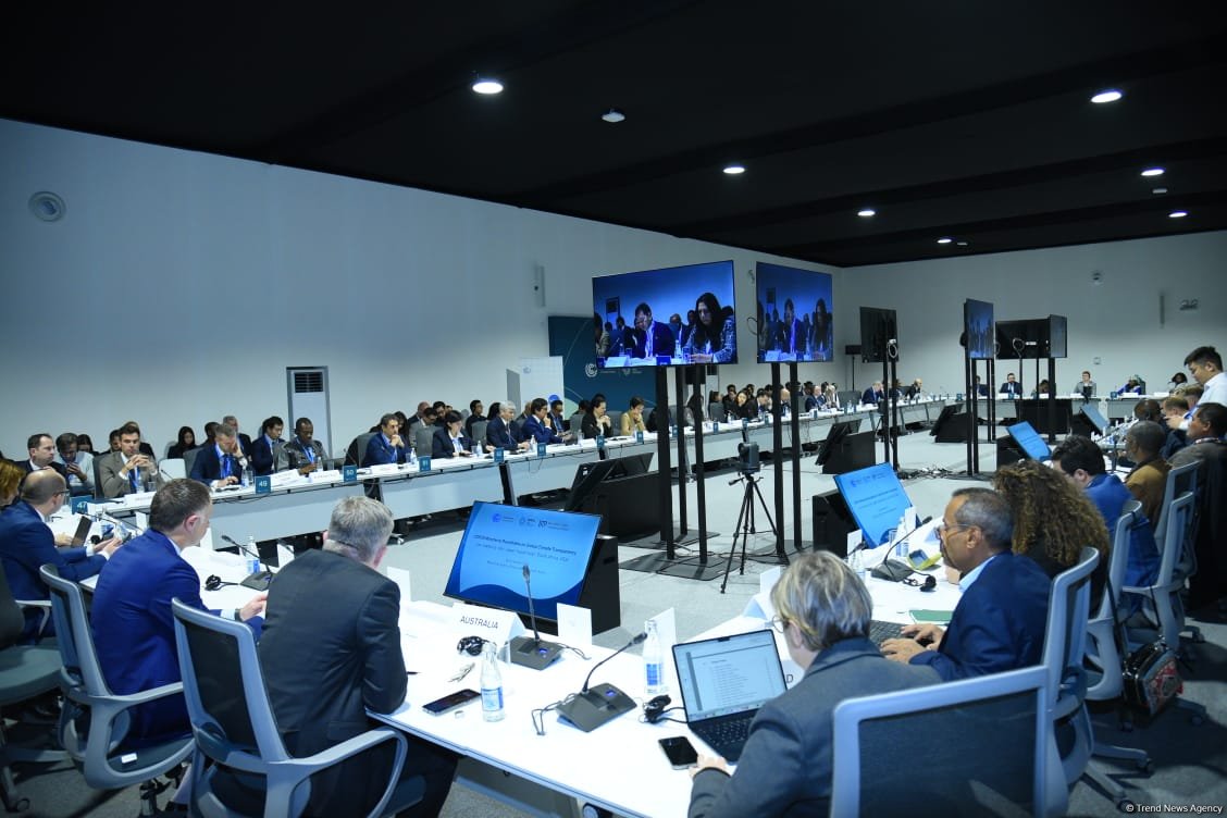 В рамках COP29 состоялся круглый стол министров по вопросам глобальной климатической прозрачности (ФОТО)