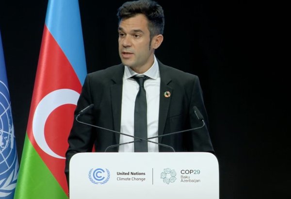 Andorra stands committed to climate action and transparency - official