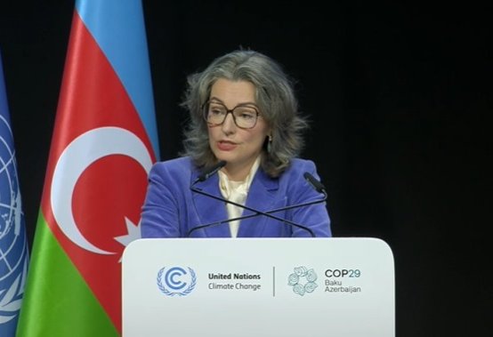 Эстония стремится к 2030 году вырабатывать столько возобновляемой электроэнергии, сколько потребляет страна - министр