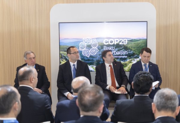 На COP29 прошла встреча на тему климатоустойчивых методов ведения сельского хозяйства (ФОТО)