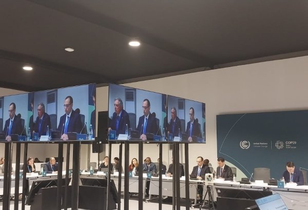 Baku Harmoniya poses important addition to FAST partnership - minister