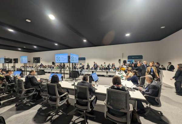 Baku Harmoniya to unite disparate initiatives, coalitions, networks, partnerships around common goal