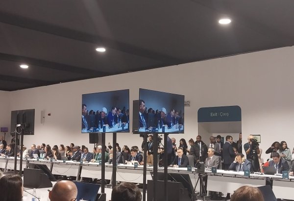 Tajikistan boosting farmers' role in agricultural production - deputy minister