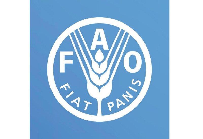 FAO unveils strategic co-op plans with Uzbekistan for 2025-2027 (Exclusive)