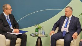 Министр здравоохранения Азербайджана обсудил двустороннее сотрудничество с региональным директором ВОЗ по Европе (ФОТО)