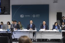 В рамках COP29 объявлена Бакинская гармония климатической инициативы для фермеров (ФОТО)