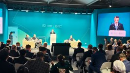 Для решения проблем здравоохранения, связанных с изменением климата, необходимы  многосекторальные стратегии – Теймур Мусаев (ФОТО)