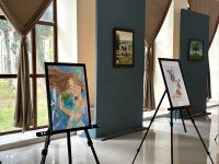 В Гянджинской филармонии открылась выставка "Голос природы", посвященная COP29 (ФОТО)
