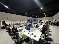 В рамках COP29 состоялось мероприятие по региональным агропродовольственным инициативам (ФОТО)