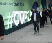 Фоторепортаж с девятого дня COP29 в Баку