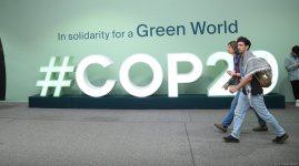 Фоторепортаж с девятого дня COP29 в Баку