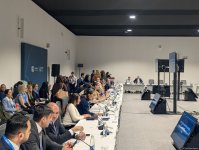 В рамках COP29 состоялось мероприятие на тему "COP to COP - Наследие агропромышленного комплекса (ФОТО)