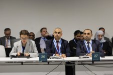 В рамках COP29 состоялось мероприятие по региональным агропродовольственным инициативам (ФОТО)