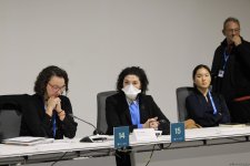 В рамках COP29 состоялось мероприятие по региональным агропродовольственным инициативам (ФОТО)