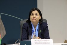 В рамках COP29 состоялось мероприятие по региональным агропродовольственным инициативам (ФОТО)
