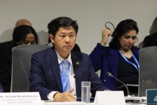 В рамках COP29 состоялось мероприятие по региональным агропродовольственным инициативам (ФОТО)