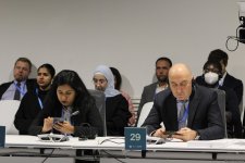 В рамках COP29 состоялось мероприятие по региональным агропродовольственным инициативам (ФОТО)