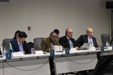В рамках COP29 состоялось мероприятие по региональным агропродовольственным инициативам (ФОТО)